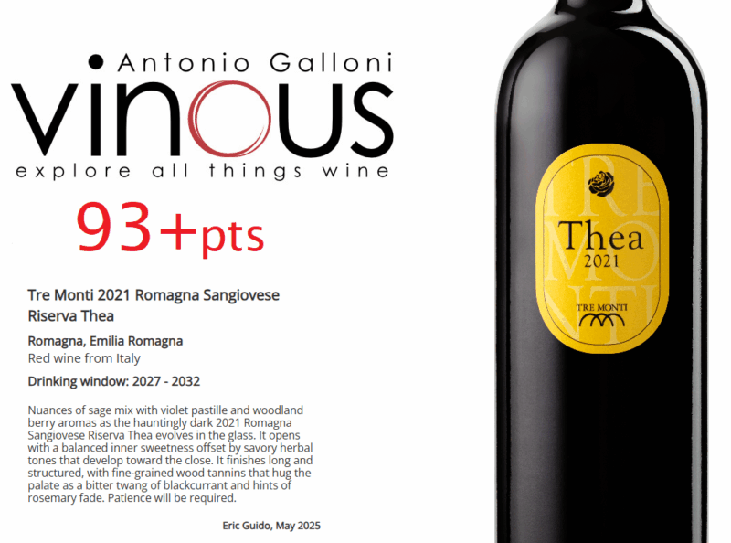 VINOUS 2025 THEA ROSSO 2021